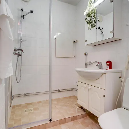 Toripuisto Northern Lights *