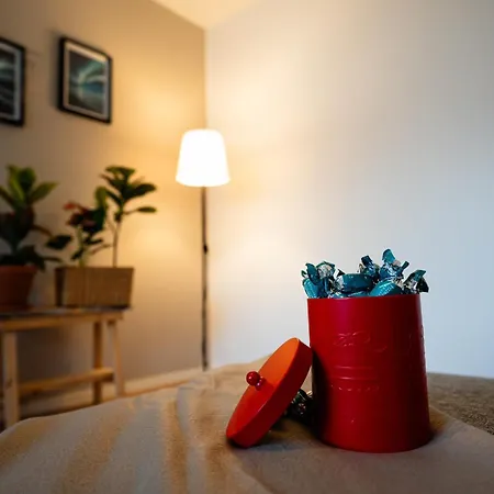 Toripuisto Northern Lights Appartement *