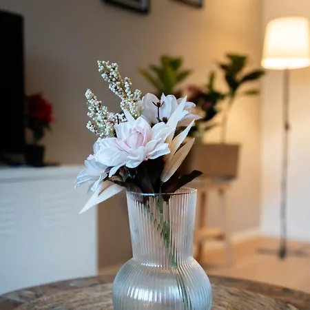 Toripuisto Northern Lights Διαμέρισμα Ροβανιέμι