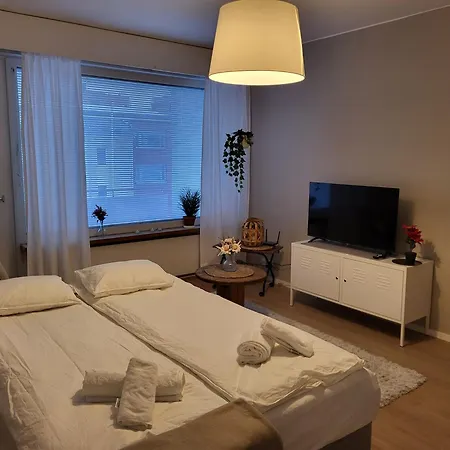 Toripuisto Northern Lights