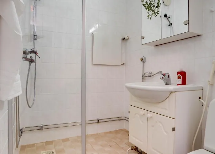 Toripuisto Northern Lights *