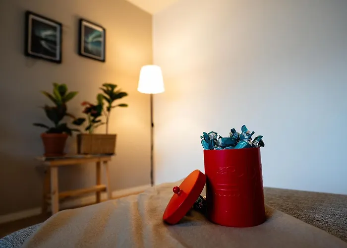 Toripuisto Northern Lights Apartament *