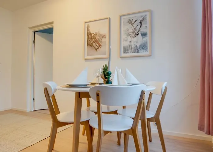 Toripuisto Northern Lights Rovaniemi