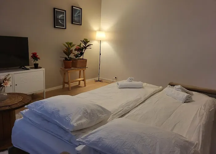 Toripuisto Northern Lights Ροβανιέμι