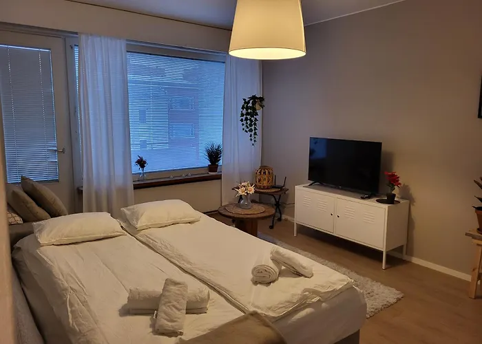 Toripuisto Northern Lights